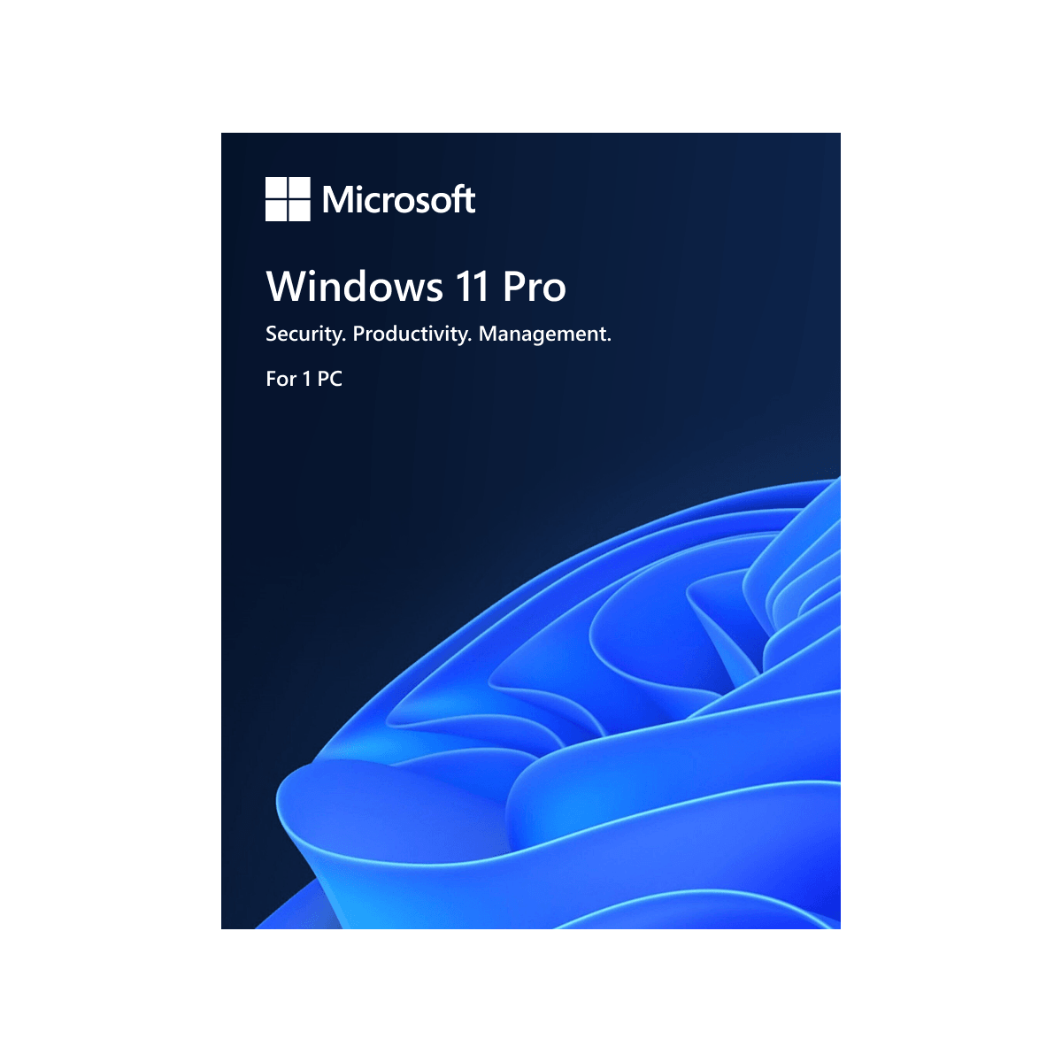 Windows 11 Professional (1 PC)